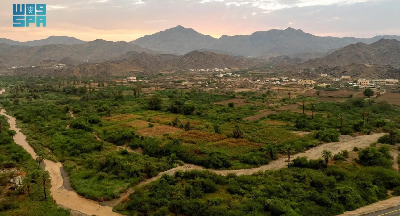 Wadi Qanuna in Al-Ardiyat