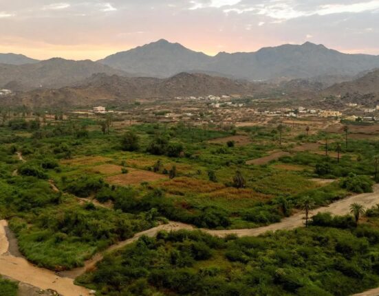 Wadi Qanuna in Al-Ardiyat